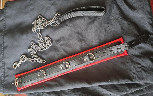 Erste Schritte zur Sklavin