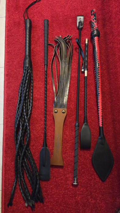 Sessions mit Peitsche und Gerte im Rhein Main Gebiet