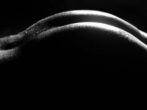 lafemme (Weiblich) - 8499