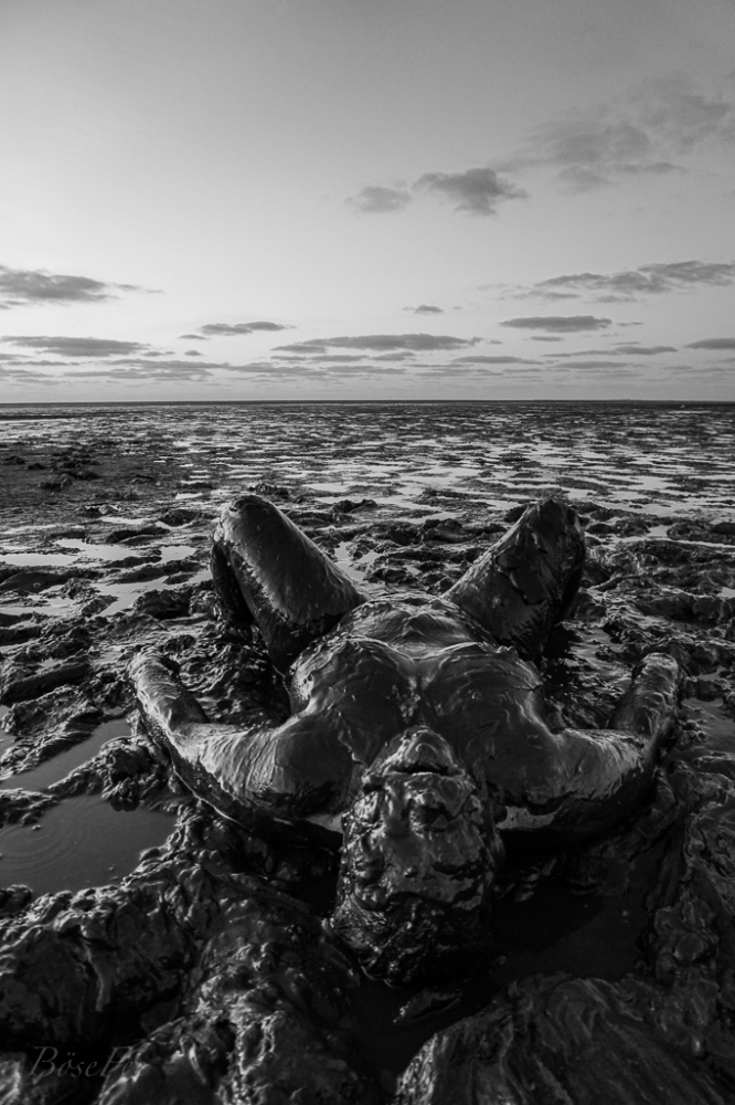 BoeseFee (Weiblich ,PLZ 26388) - 29863