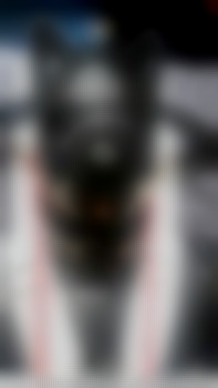 airmax_2002 aus Deutschland (PLZ: 30629)