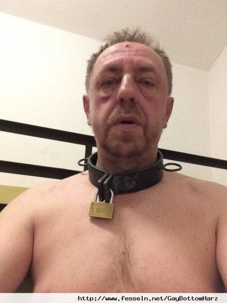 GayBottomHarz