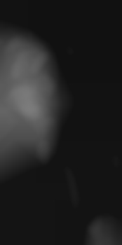 kinkcaine aus Deutschland (PLZ: 06295)