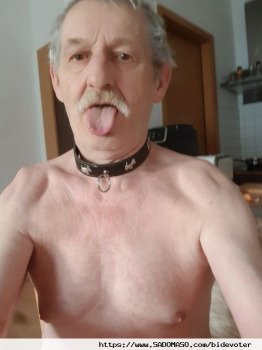 bidevoter aus Deutschland (PLZ: 99848)